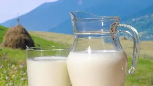 上火可以喝牛奶吗 喝牛奶上火怎么办
