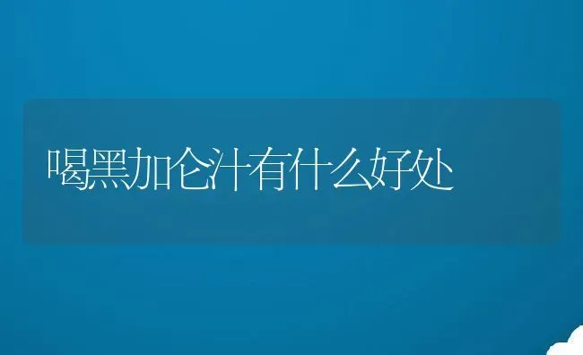 喝黑加仑汁有什么好处 | 养殖资料投稿