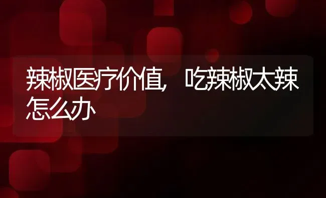 辣椒医疗价值,吃辣椒太辣怎么办 | 养殖资料投稿