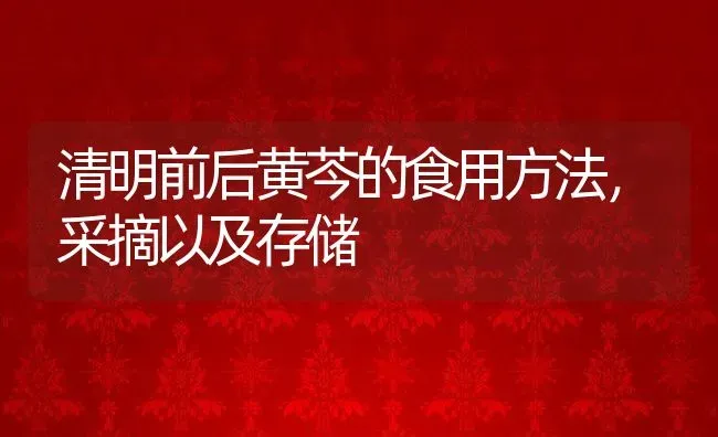 清明前后黄芩的食用方法，采摘以及存储 | 养殖资料投稿