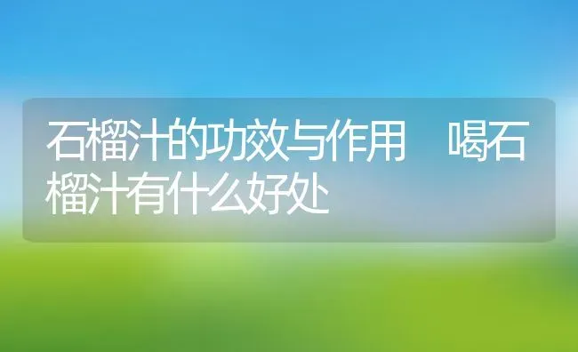 石榴汁的功效与作用 喝石榴汁有什么好处 | 养殖资料投稿