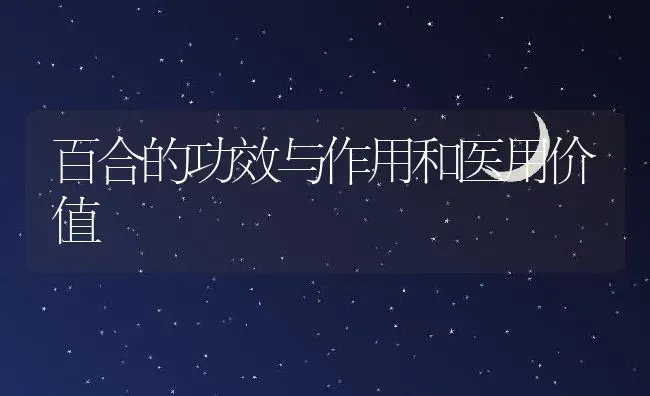 百合的功效与作用和医用价值 | 养殖资料投稿