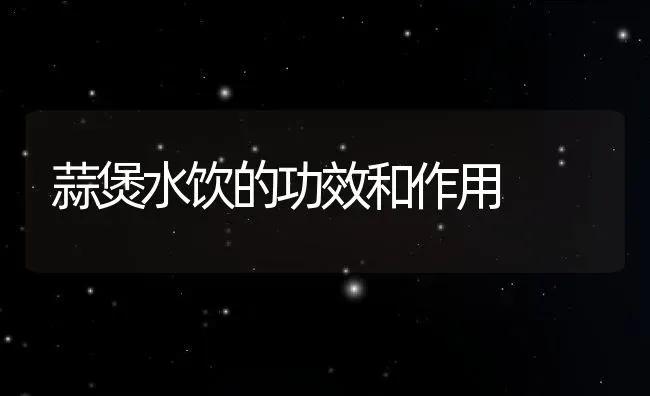蒜煲水饮的功效和作用 | 养殖资料投稿