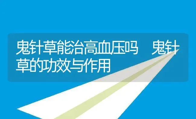 鬼针草能治高血压吗 鬼针草的功效与作用 | 养殖资料投稿