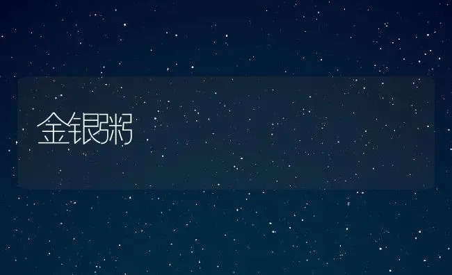 金银粥 | 养殖资讯