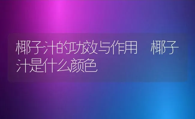 椰子汁的功效与作用 椰子汁是什么颜色 | 养殖资料投稿