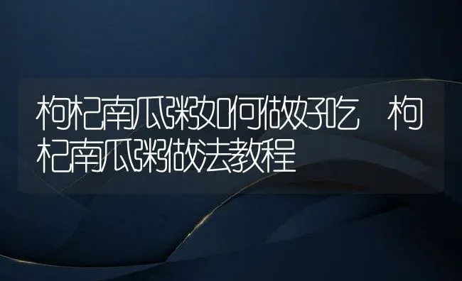 枸杞南瓜粥如何做好吃 枸杞南瓜粥做法教程 | 养殖资讯