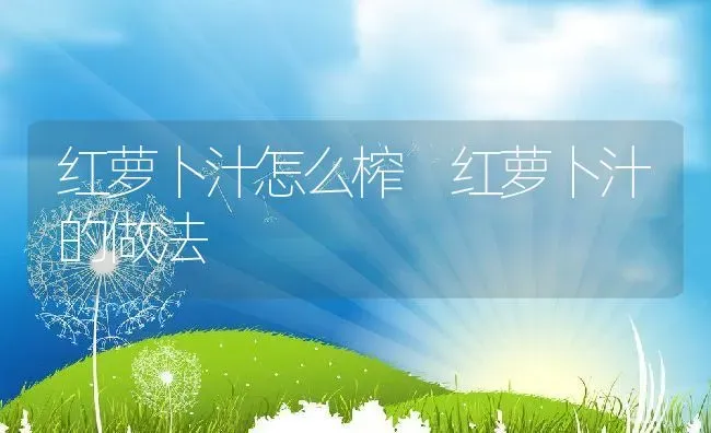 红萝卜汁怎么榨 红萝卜汁的做法 | 养殖资料投稿