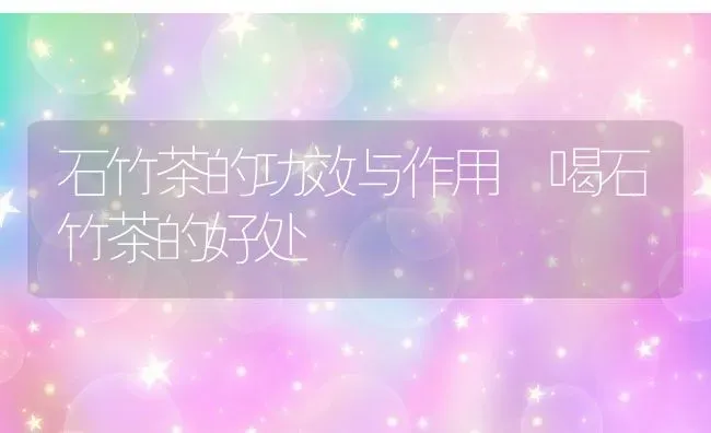 石竹茶的功效与作用 喝石竹茶的好处 | 养殖资料投稿