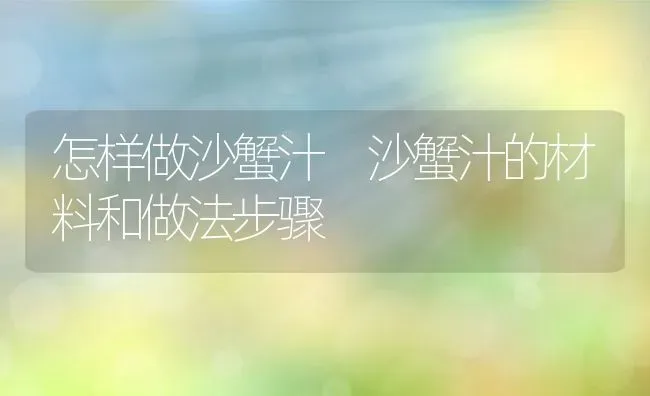 怎样做沙蟹汁 沙蟹汁的材料和做法步骤 | 养殖资料投稿