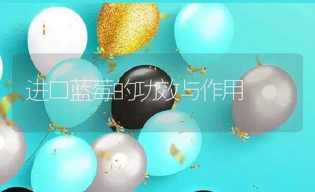 进口蓝莓的功效与作用 | 养殖资料投稿