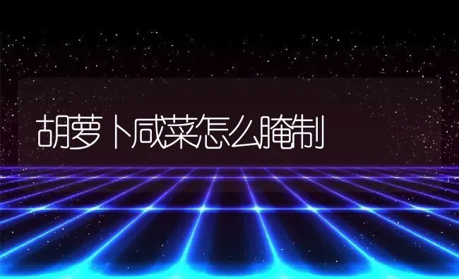 胡萝卜咸菜怎么腌制 | 养殖资料投稿