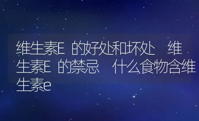 维生素E的好处和坏处 维生素E的禁忌 什么食物含维生素e | 养殖资料投稿
