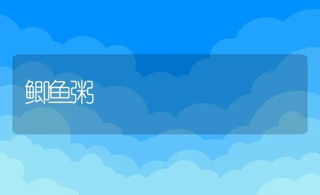 鲫鱼粥 | 养殖资料投稿