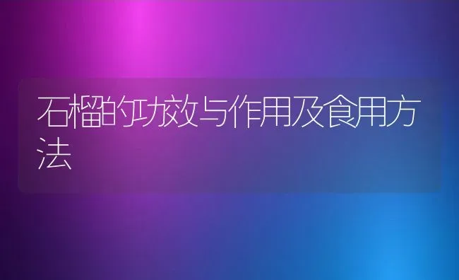 石榴的功效与作用及食用方法 | 养殖资料投稿