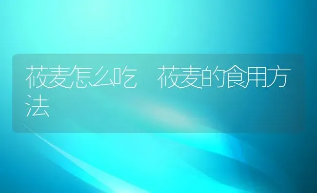 玉米豆枣粥 | 养殖资讯