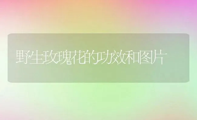 保美乐的作用是什么？如何使用？ | 养殖资料投稿