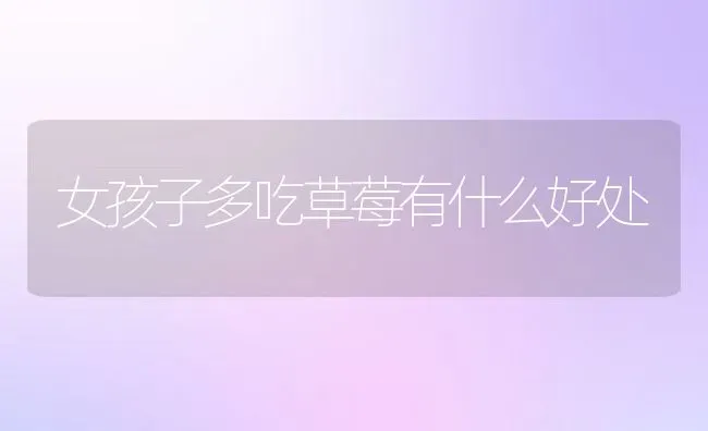 女孩子多吃草莓有什么好处 | 养殖资料投稿