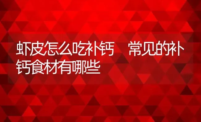 虾皮怎么吃补钙 常见的补钙食材有哪些 | 养殖资料投稿