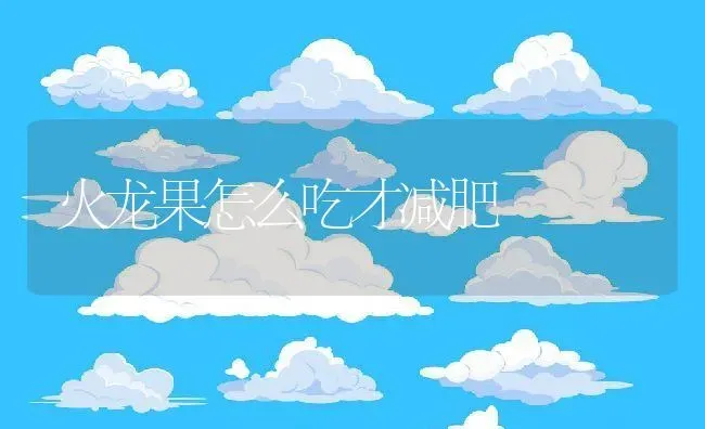 火龙果怎么吃才减肥 | 养殖资料投稿