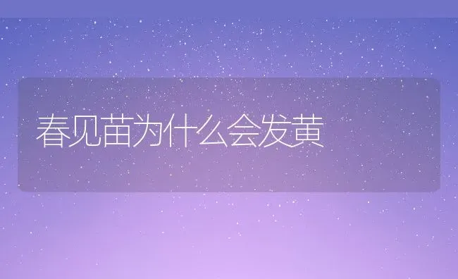 春见苗为什么会发黄 | 养殖资讯