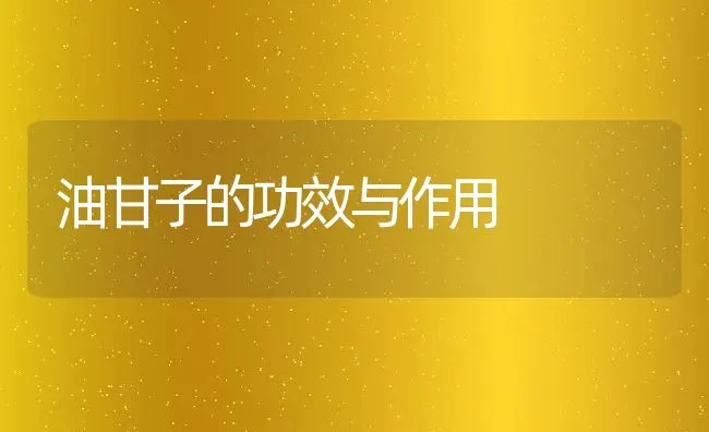 油甘子的功效与作用 | 养殖资料投稿