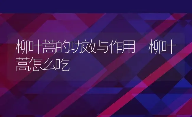 柳叶蒿的功效与作用 柳叶蒿怎么吃 | 养殖资料投稿