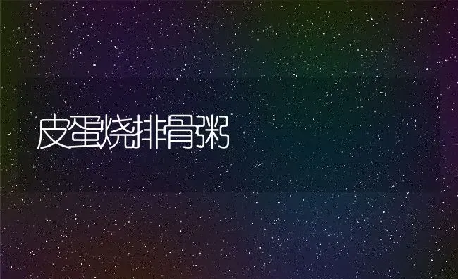 皮蛋烧排骨粥 | 养殖资讯