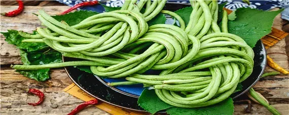 豆角打什么药好