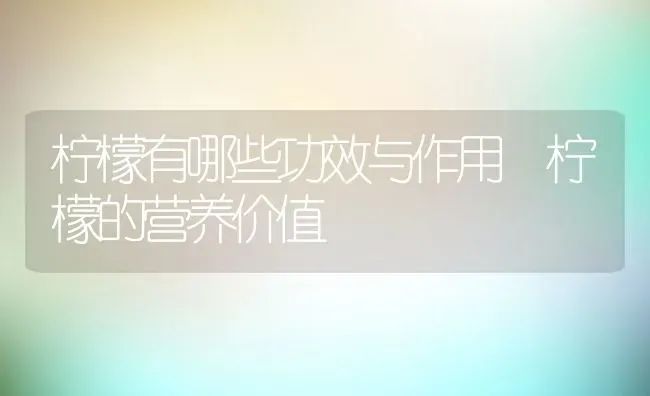 柠檬有哪些功效与作用 柠檬的营养价值 | 养殖资料投稿