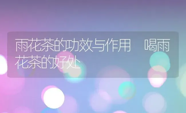 雨花茶的功效与作用 喝雨花茶的好处 | 养殖资料投稿