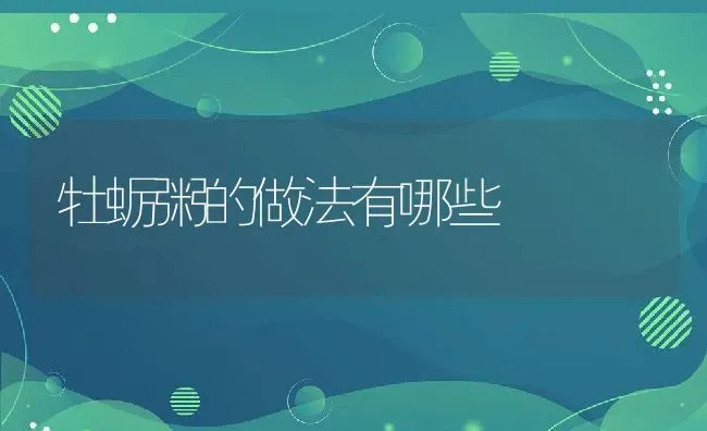 牡蛎粥的做法有哪些 | 养殖资料投稿