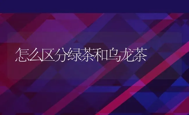 怎么区分绿茶和乌龙茶 | 养殖资料投稿