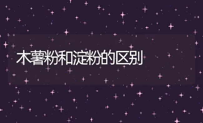 木薯粉和淀粉的区别 | 养殖资料投稿