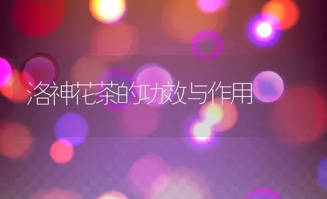 洛神花茶的功效与作用 | 养殖资料投稿