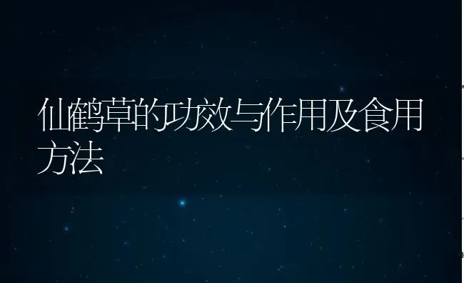 仙鹤草的功效与作用及食用方法 | 养殖资料投稿