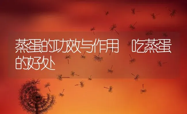 蒸蛋的功效与作用 吃蒸蛋的好处 | 养殖资料投稿