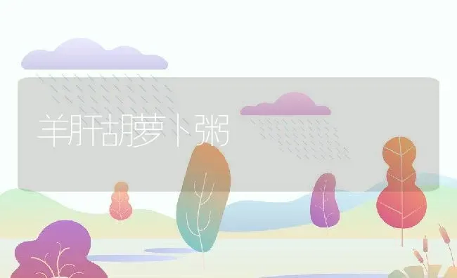 羊肝胡萝卜粥 | 养殖资料投稿