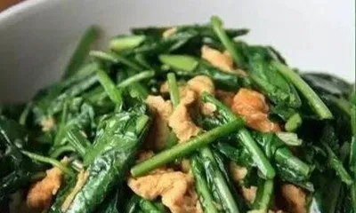 炒熟的蒲公英的功效与作用