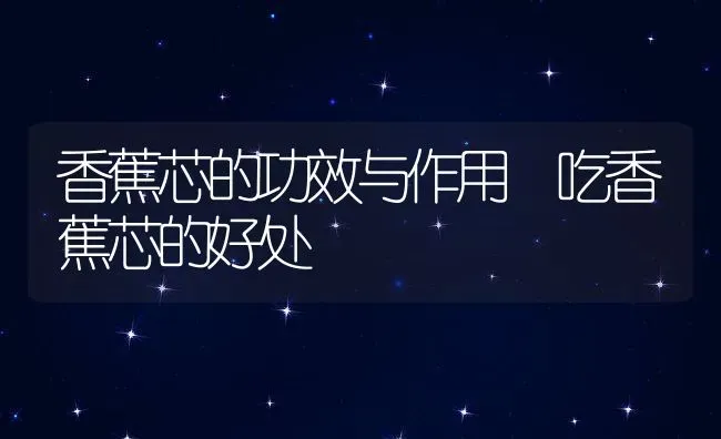 香蕉芯的功效与作用 吃香蕉芯的好处 | 养殖资料投稿