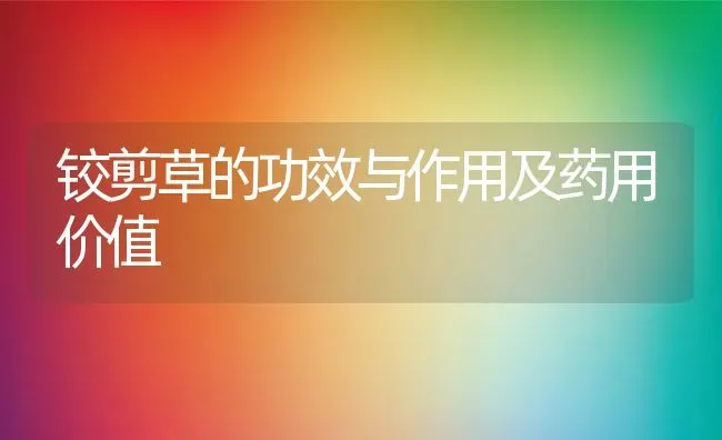 铰剪草的功效与作用及药用价值 | 养殖资料投稿