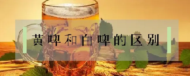 黄啤和白啤的区别