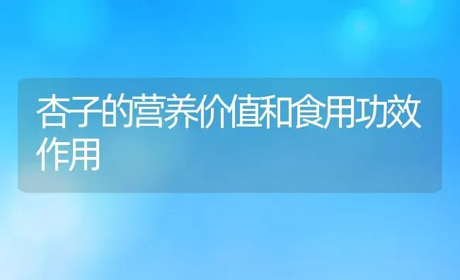 杏子的营养价值和食用功效作用 | 养殖资料投稿