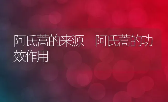 阿氏蒿的来源 阿氏蒿的功效作用 | 养殖资料投稿