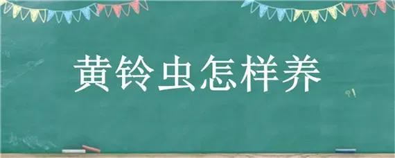 黄铃虫怎样养