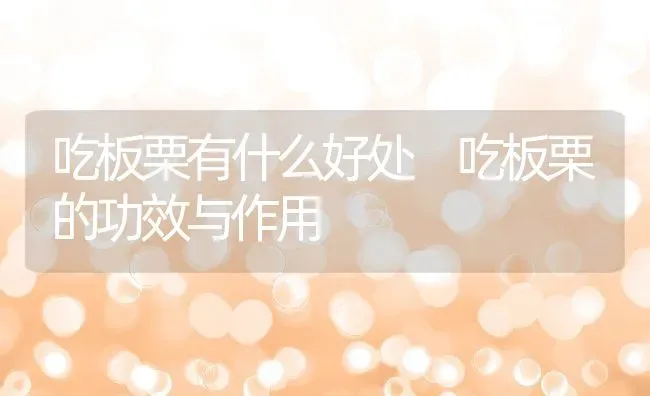 吃板栗有什么好处 吃板栗的功效与作用 | 养殖资料投稿