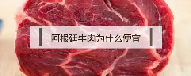 阿根廷牛肉为什么便宜