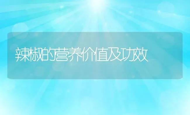 辣椒的营养价值及功效 | 养殖资料投稿