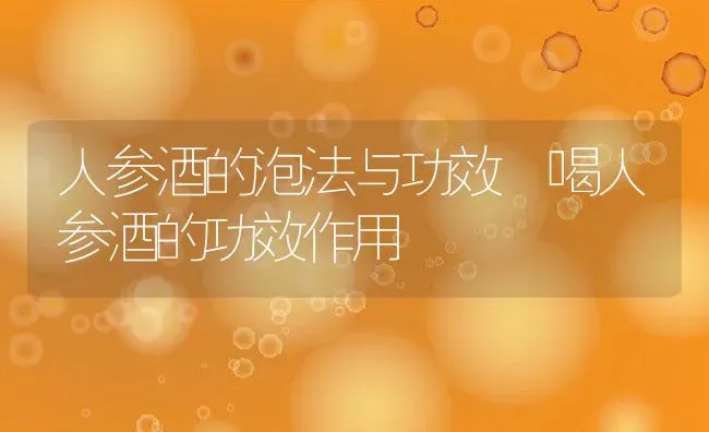 人参酒的泡法与功效 喝人参酒的功效作用 | 养殖资料投稿