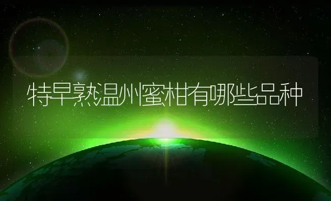 特早熟温州蜜柑有哪些品种 | 养殖资讯